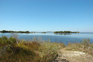 Shoreline at Cedar Key Museum State Park
