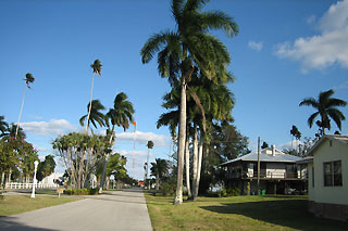 Another street in Everglades City