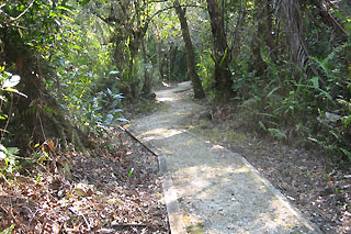 Fakahatchee path