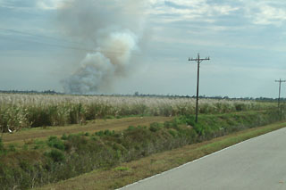 burning sugar cane field in Clewiston