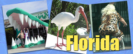 Florida travel header